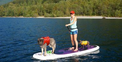 Paddle Board Dog Accessories